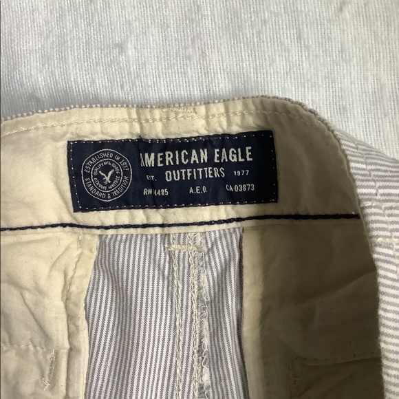 American Eagle Outfitters Classic Pinstripe Shorts Men's Size 30 - Picture 3 of 6